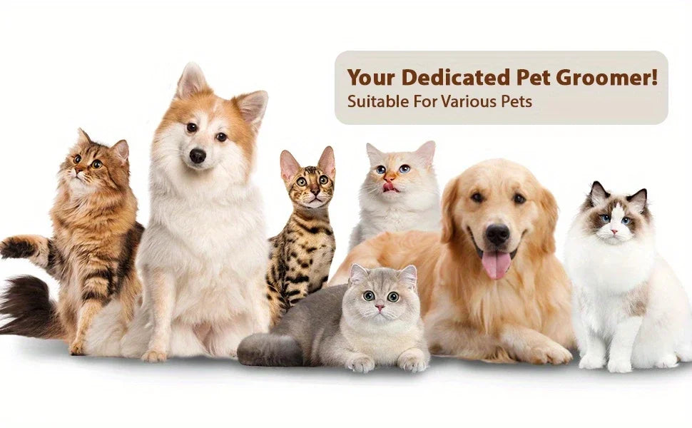 4 in 1 Cat Steam Brush for Shedding, Rechargeable Cat Brush with Steam, Anti-Static Steam Pet Brushes, Massage, Cleaning