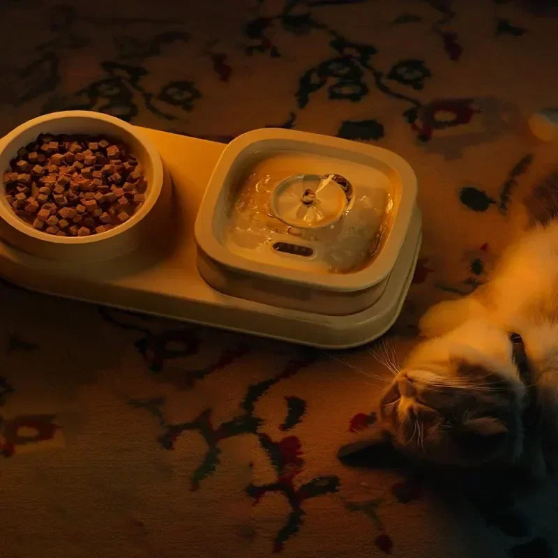 AWater Fountain with Automatic Filter for Pets,silent USB Electric Drinker for Cats,2in1feeder,recirculationfilterdrinkerforcats